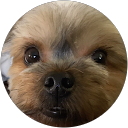 Scott Schilbe profile picture