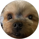 Scott Schilbe profile picture